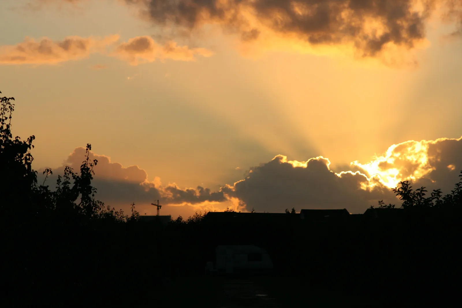 Goudgele avondlucht boven de Vinkeveense Plassen, met donkere silhouetten van bomen en huizen.