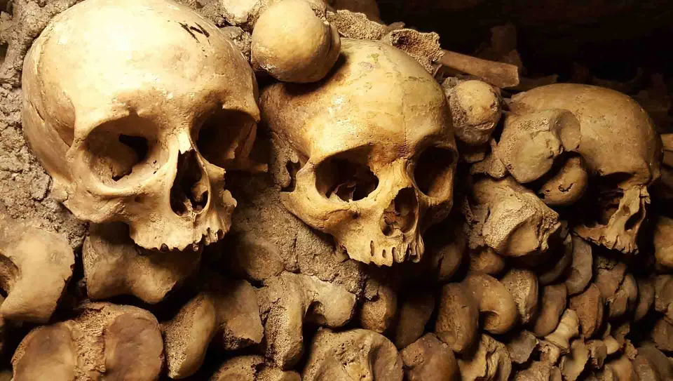 Beenderen en schedels in de catacomben van Parijs